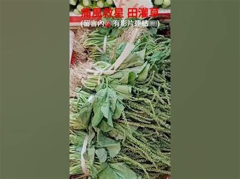 田灌草禁忌|哪些田灌草行為最觸犯禁忌？